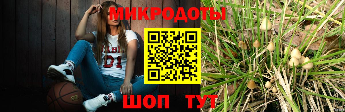 Псилоцибиновые грибы Cubensis  Псилоцибиновые грибы прущие грибы  Реутов  Вход с VPN 