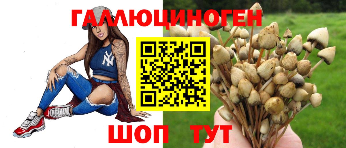 Псилоцибиновые грибы ЛСД Реутов